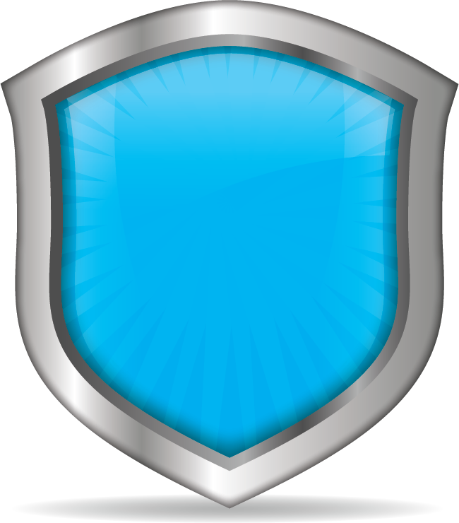 Level 5 Badge