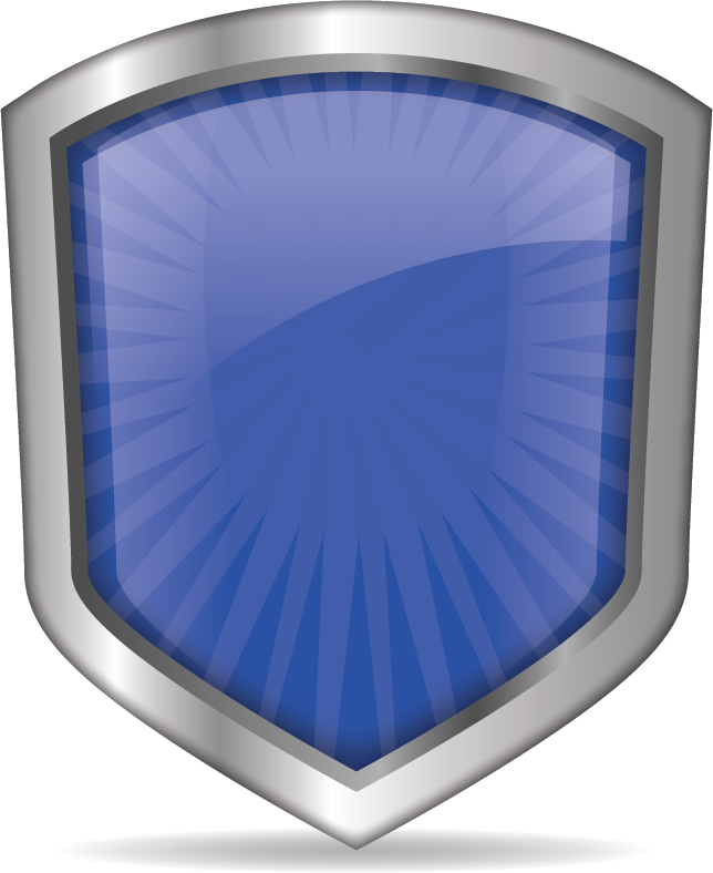 Level 6 Badge